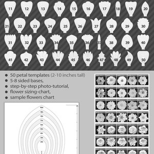 50 PDF PRINTABLE Paper Flower PETAL Templates, diy large Paper Flower Templates, molde de flores de papel / print-cut-trace flower templates image 3