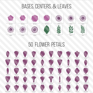 SVG Paper Flower TEMPLATES, SET of 50 Petals, 4 Bases, 6 Centers, and 4 Leaves giant paper flower templates, molde de flores de papel imagem 3
