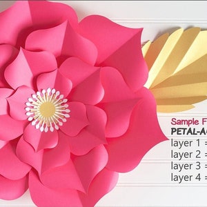 SVG Paper Flower TEMPLATES, SET of 50 Petals, 4 Bases, 6 Centers, and 4 Leaves giant paper flower templates, molde de flores de papel imagem 2