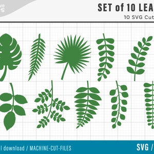Set of 10 Leaves - SVG cut files, Set of 10 SVG Leaf Templates, Cut Files for Cricut and Silhouette, paper flower leaves - svg png dxf