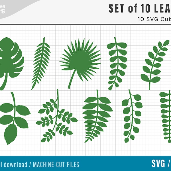 Set of 10 Leaves - SVG cut files, Set of 10 SVG Leaf Templates, Cut Files for Cricut and Silhouette, paper flower leaves - svg png dxf