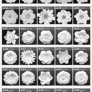 May include: A set of 50 printable paper flower templates, each with 6 petals and 4 layers. The templates are labeled A01-A50 and are arranged in a grid.