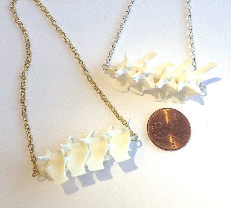 Snake Bone Necklace Large Vertebrae on Bar Gold or Silver Etsy