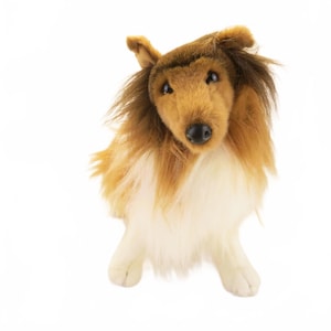 Sint Bernard Hond Pluche Knuffel 25 cm kopen