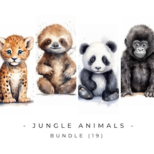 Dschungel Tiere ClipArt Bundles PNG Clipart Kinderzimmer Wand Kunst kommerzielle Nutzung digitaler Download Baby Dschungel Tier Safari druckbare Baby Shower