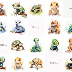 Reptiles ClipArt Bundle Turtle Clipart Snake Chameleon Bearded Dragon PNG Nursery Clipart Exotic Commercial Use Instant Digital Download image 2