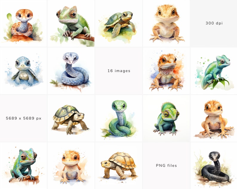 Reptiles ClipArt Bundle Turtle Clipart Snake Chameleon Bearded Dragon PNG Nursery Clipart Exotic Commercial Use Instant Digital Download image 2