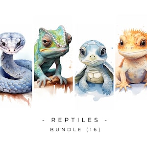 Reptiles ClipArt Bundle Turtle Clipart Snake Chameleon Bearded Dragon PNG Nursery Clipart Exotic Commercial Use Instant Digital Download image 1