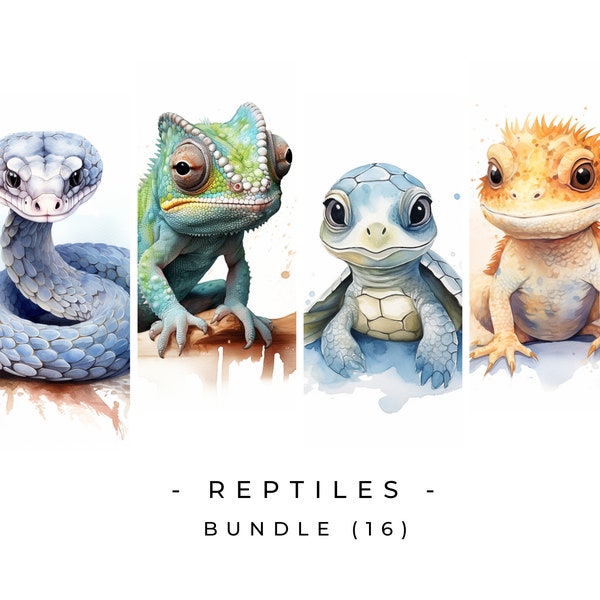 Reptiles ClipArt Bundle Turtle Clipart Snake Chameleon Bearded Dragon PNG Nursery Clipart Exotic Commercial Use Instant Digital Download