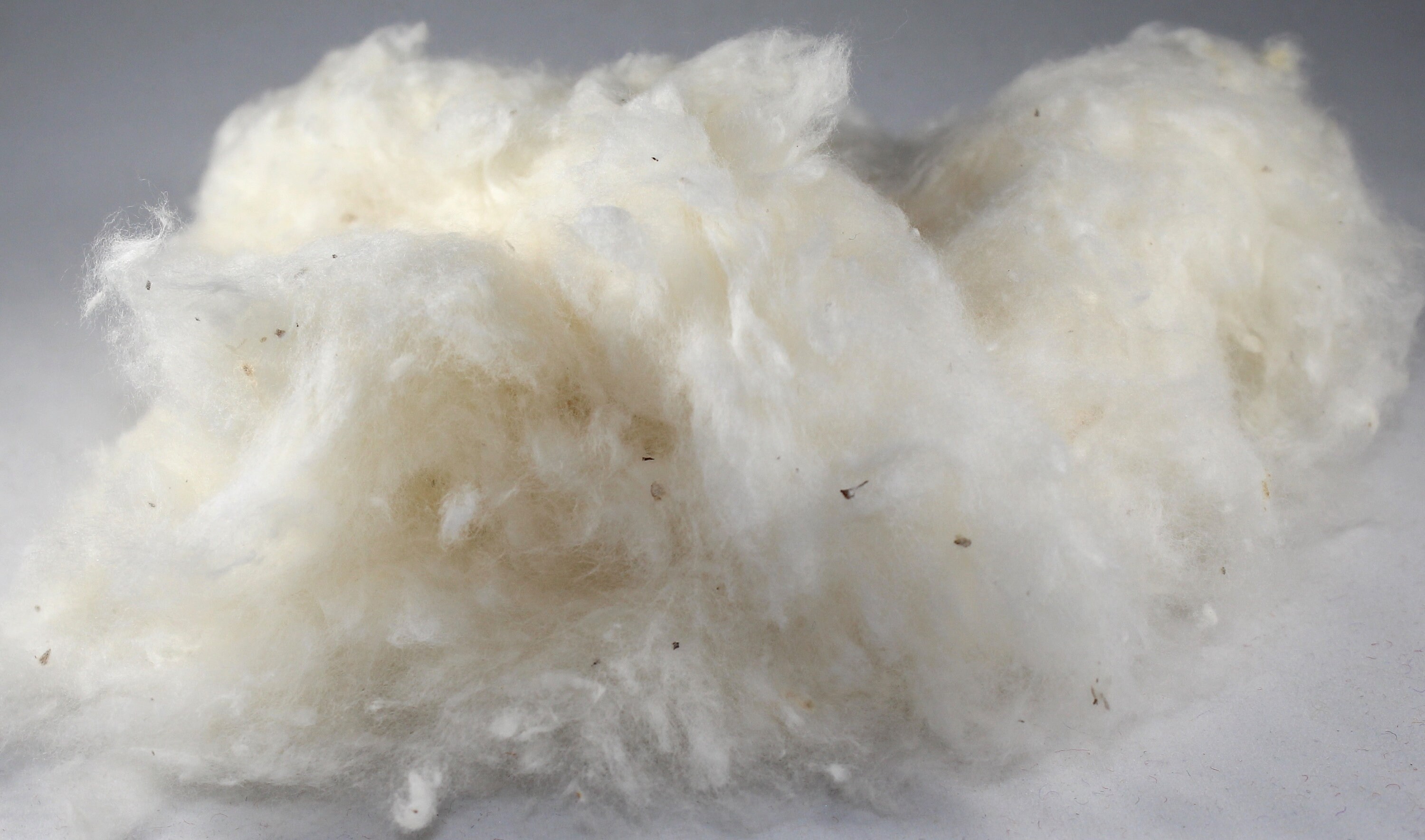 Certified Organic Cotton Stuffing or Batting One Pound Etsy