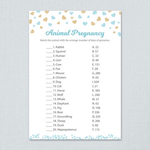 Animal Pregnancy Gestation Game Printable, Blue Gold Hearts, Boy Baby Shower Games, Animal Pregnancy Quiz, Shower Activities, B002