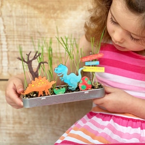 Personalised Make Your Own Dinosaur Garden