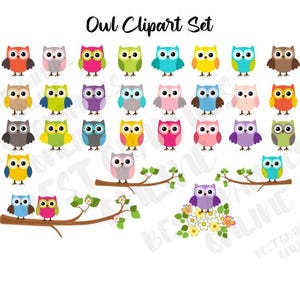 Owl clipart set, Cute Owl on a Branch Clipart, Rainbow Colors Owls Clip art, Cute Owls Clipart, Cute Owl Clip art, Owls and Branches Clipart