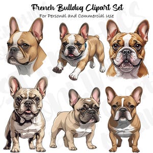 Französische Bulldogge Clipart-Set, Französische Bulldogge Haustier Clipart, Frenchie Hund Illustration, Frenchie Hund Clip Art Illustration, I love Hunde Clipart