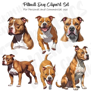 Pitbull Clipart Set, American Pitbull Terrier Hund Haustier Clipart, Hundeillustrationen, Pitbull Cliparts, Pitbull Illustration
