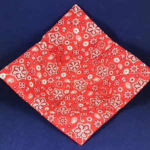 Red & White Paisley Insulated Bowl Cozies