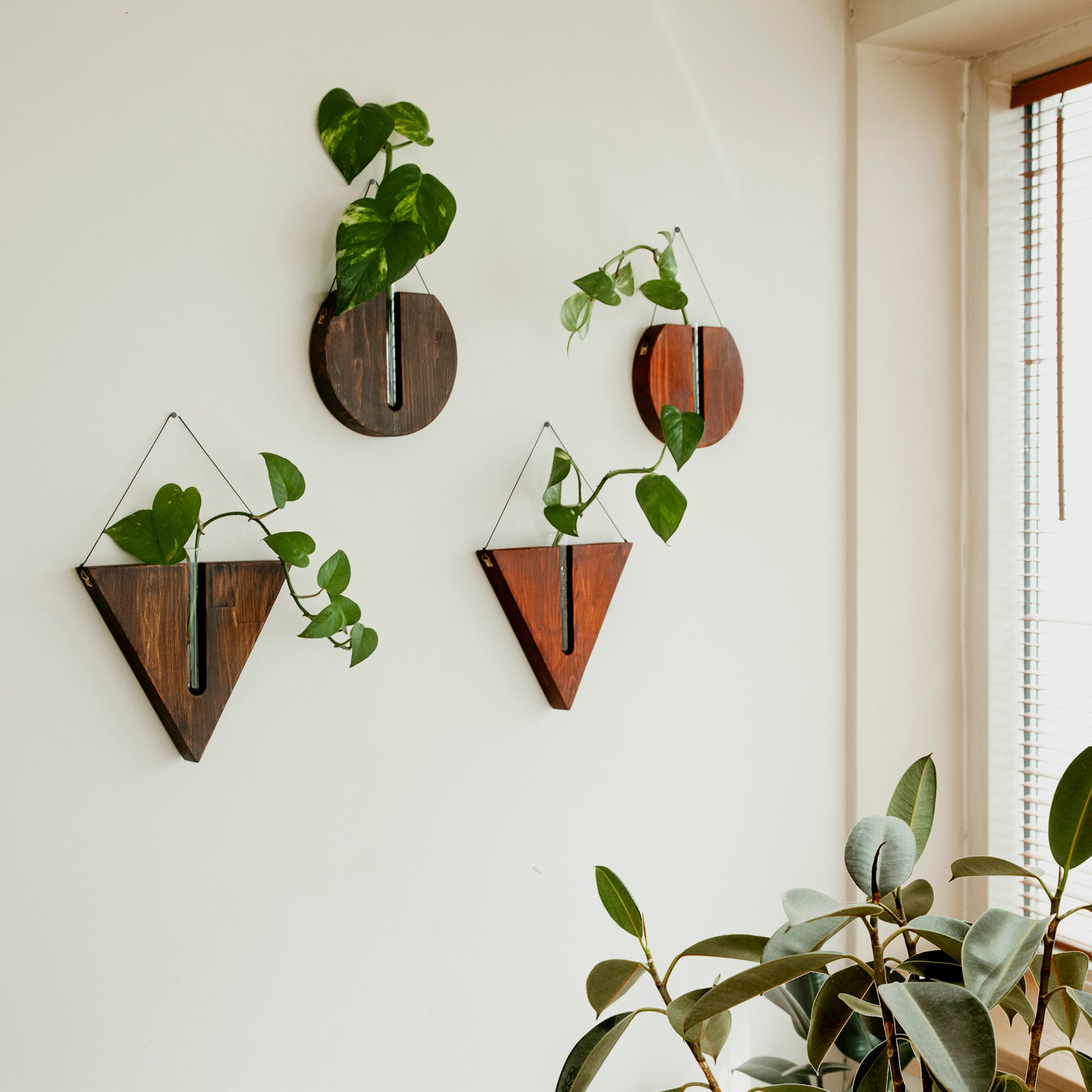 Hanging Plant HolderWall Planter IndoorWall Plant | Etsy