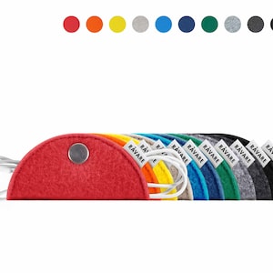 Mini cable organizer, stylish cable holder, funny cable protection, organize cable clutter, notebook accessories, colorful felt cable ties (ODA)
