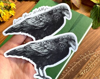 Raven sticker, crow sticker waterproof vinyl decal sticker, bird laptop sticker, water bottle sticker, wildlife car sticker stocking stuffer