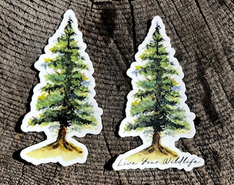 Pine tree sticker, waterproof evergreen tree vinyl decal, pine tree laptop sticker, stocking stuffer, water bottle sticker, car sticker