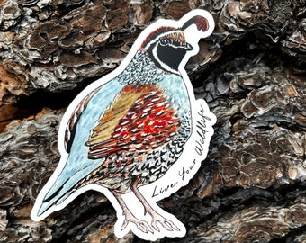 Quail sticker, quail waterproof vinyl decal, bird lover gift, quail watercolor illustration, stocking stuffer, thermos sticker, car sticker