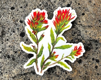 May include: A sticker featuring a watercolor illustration of Indian paintbrush flowers. The flowers have vibrant red and orange petals with green leaves and stems. The sticker is on a white background.