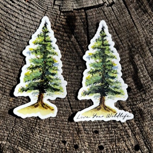 Adesivo albero di pino, adesivo in vinile impermeabile albero sempreverde, adesivo per laptop albero di pino, regalo di Natale, adesivo per bottiglia d'acqua, adesivo per auto