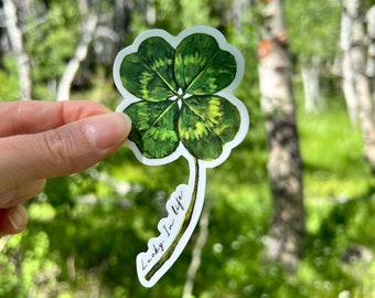 Four leaf clover sticker, waterproof botanical vinyl decal, plant laptop sticker, stocking stuffer, water bottle sticker, car sticker