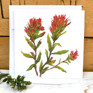 Indian Paintbrush Wildblumenkarte, botanische Illustrationskarte, Aquarellgrußkarte, florale leere Notizkarte, Karte für Blumenliebhaber