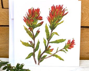 Indian Paintbrush wildflower card, botanical illustration card, watercolor greeting card, floral blank note card, card for flower lover