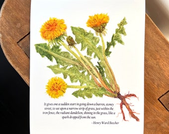 Dandelion art print, Inspirational quote, Henry Ward Beecher dandelion quote, wildflower botanical watercolor illustration art print, poetry