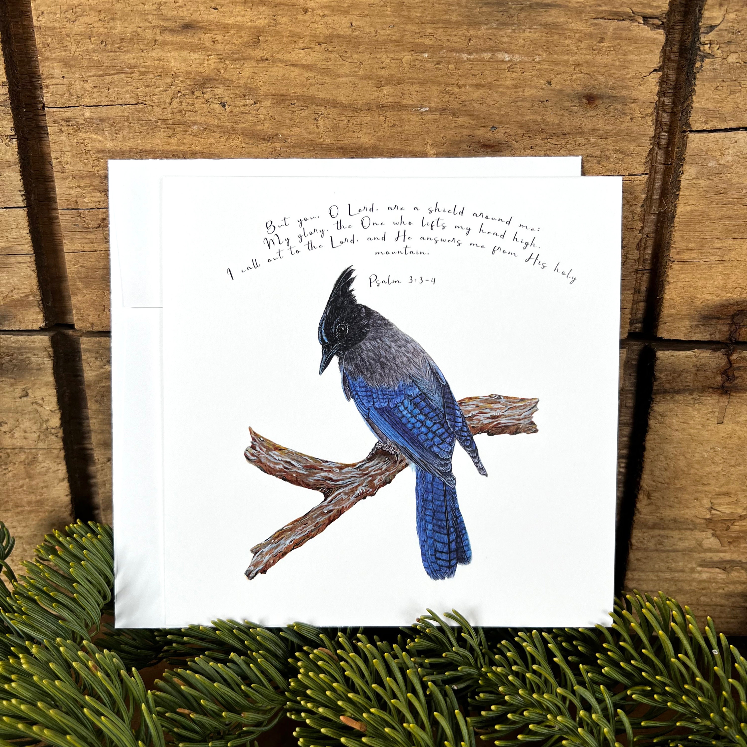 Steller's Jay Bible Verse Card, You O Lord Are a Shield Around Me ...