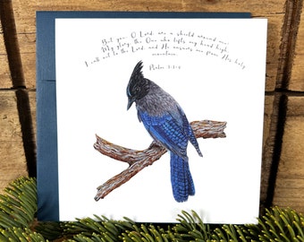 Steller's Jay bible verse card, You O Lord are a shield around me greeting card encouragement, Religious gift scripture card, Psalm 3:3-4