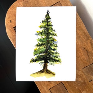 Watercolor Pine tree print, nature botanical art print, tree watercolor illustration, wall art, nature lover gift, evergreen tree, mountain