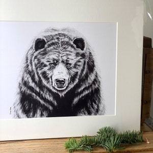 Bear art print, Ole Griz woodland bear drawing, grizzly bear rustic home decor, animal lover bear lover gift, cabin decor