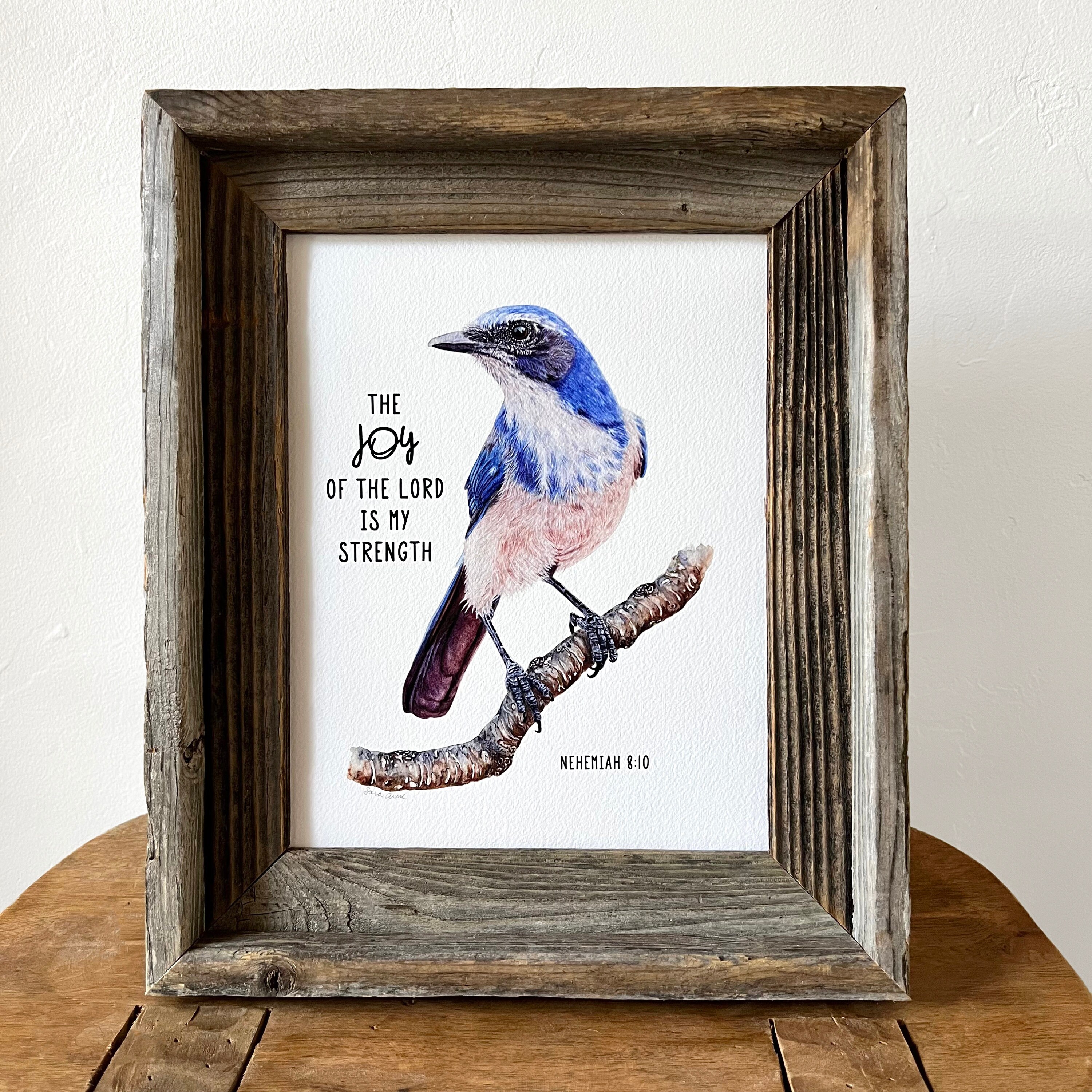 Scrub Jay Bird Bible Verse Art Print, the Joy of the Lord is My ...