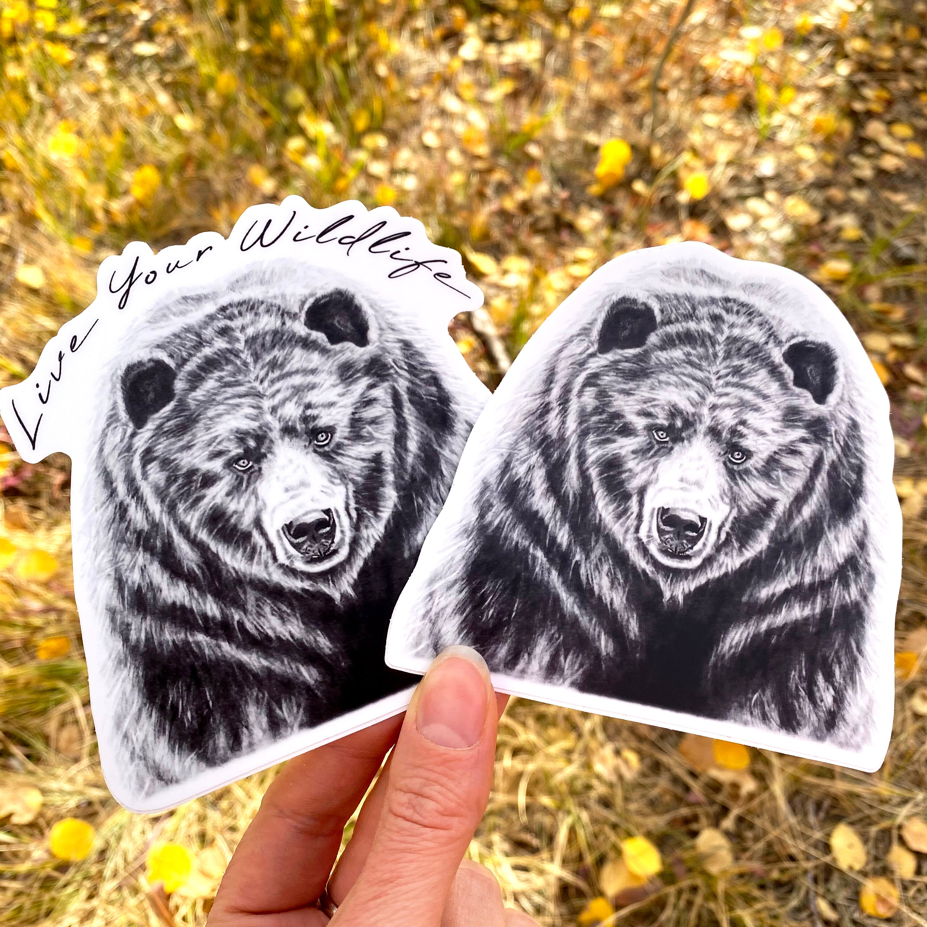 Bear Sticker, Bear Decal Sticker Waterproof Vinyl, Bear Laptop Sticker ...