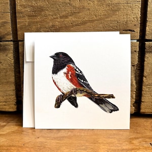 Spotted Towhee Grußkarte mit Umschlag, Spotted Towhee Vogel Karte, Vogel Notizkarte, Geschenk für Vogelliebhaber, Rufous Towhee, Ornithologie Geschenk