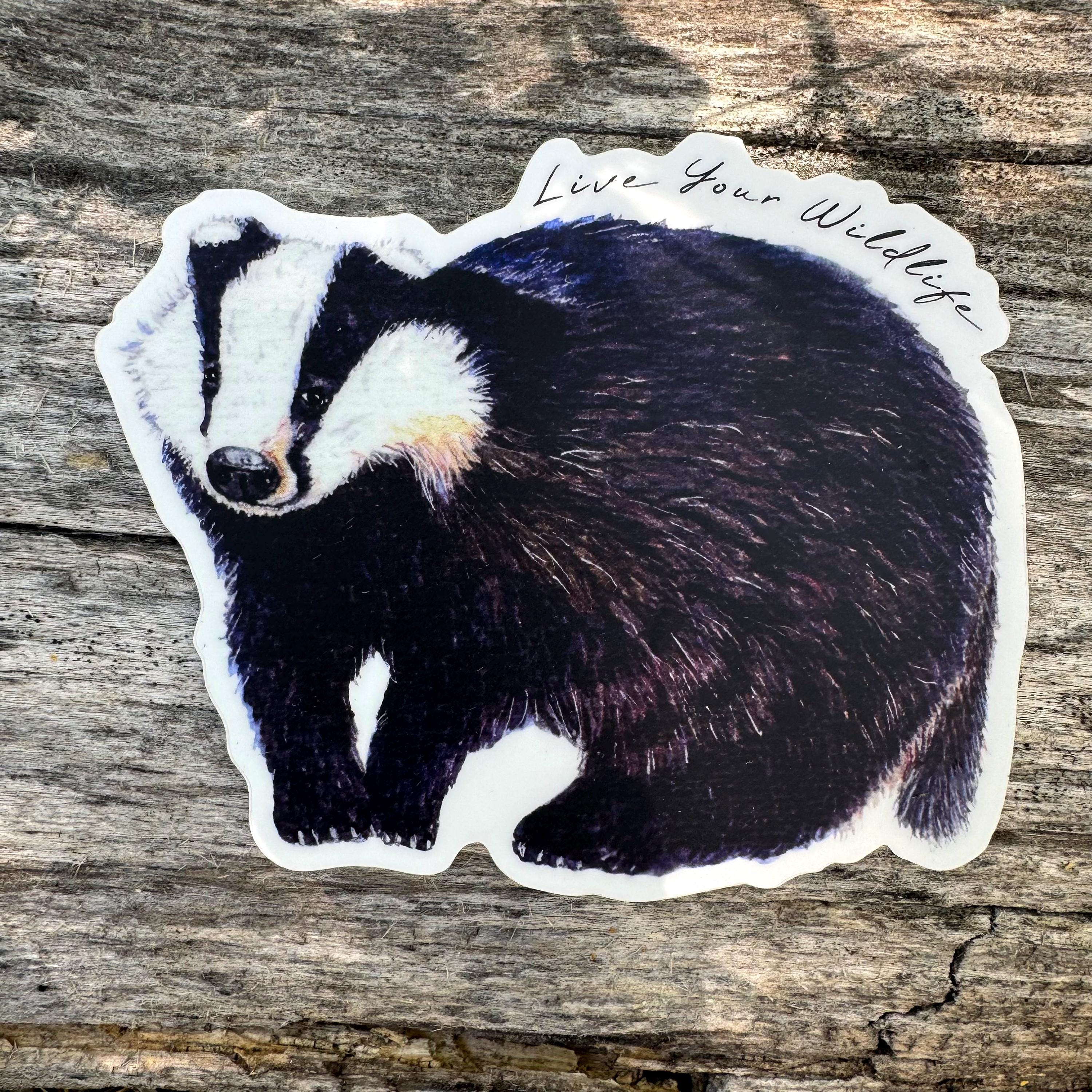 Badger Sticker, Waterproof Vinyl Decal, Wildlife Laptop Sticker, Badger ...