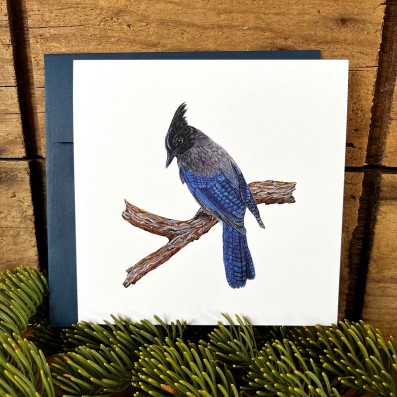 Steller's Jay greeting card with envelope, bird card, watercolor bird notecard, bird lover gift, wildlife card, ornithology gift Nautical blue linen