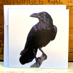 Raven card, crow card, greeting card with envelope, notecard, blank art card, bird card, bird lover gift, wildlife card Bright white