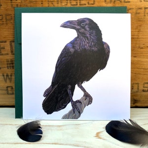 Raven card, crow card, greeting card with envelope, notecard, blank art card, bird card, bird lover gift, wildlife card Forest green linen