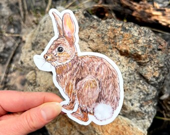 Bunny sticker, waterproof vinyl die cut decal, wildlife laptop sticker, peter cottontail sticker, stocking stuffer tumbler sticker car decal