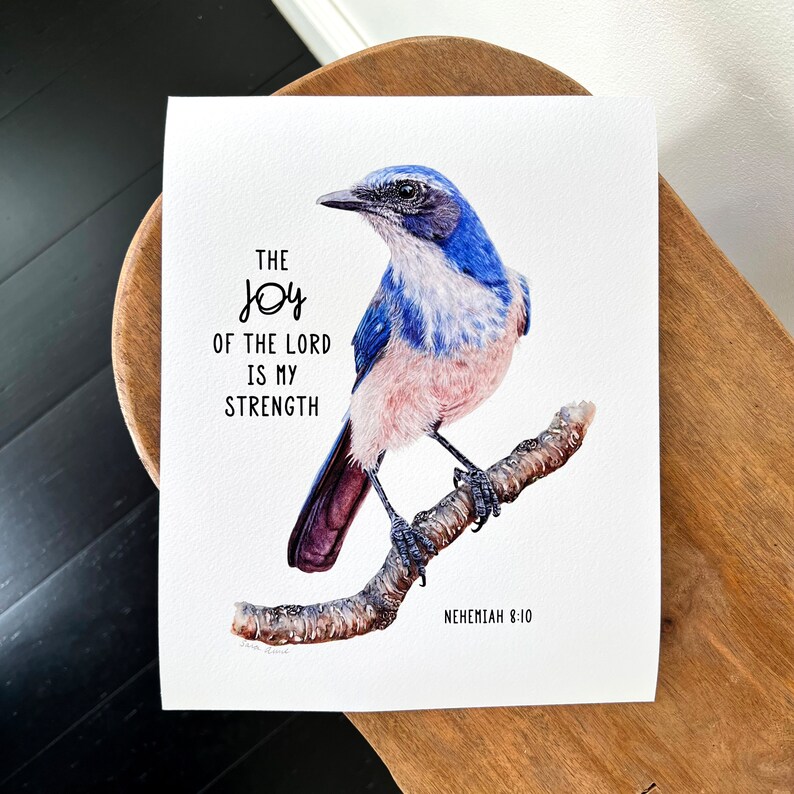 Scrub Jay Bird Bible Verse Art Print, the Joy of the Lord is My ...