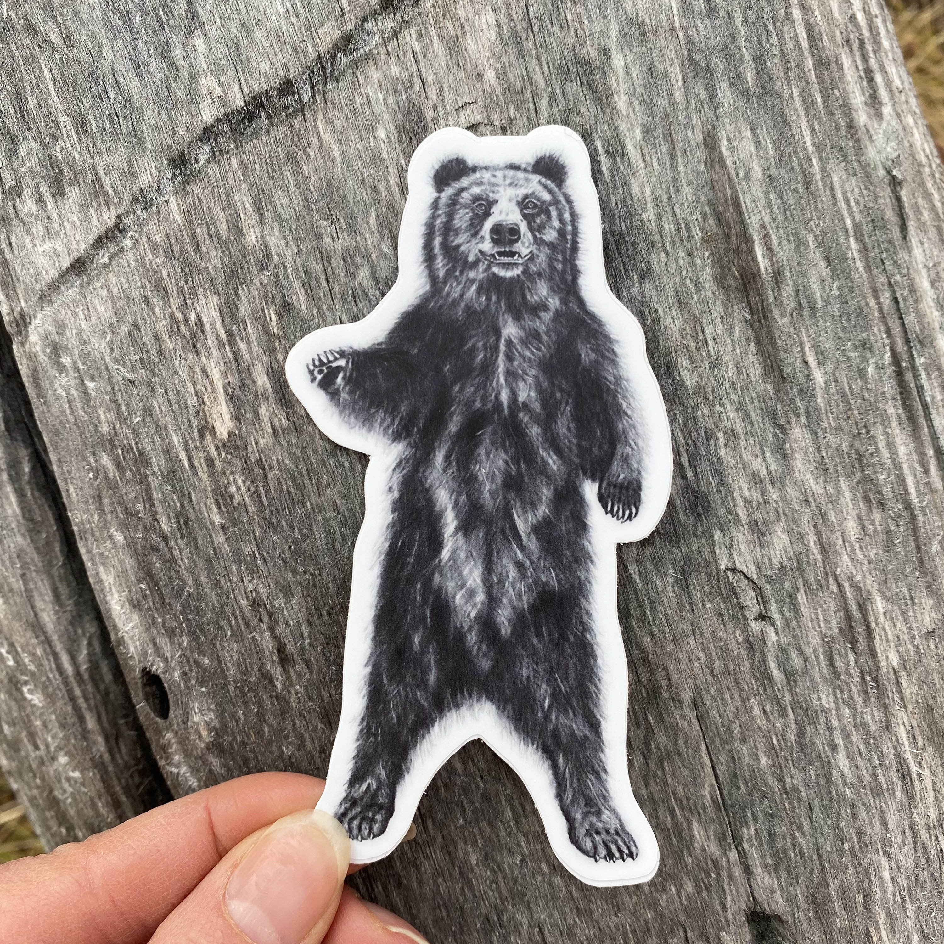 Black Bear Sticker, Bear Vinyl Decal Waterproof Sticker, Bear Laptop ...