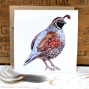 Wachteln Grußkarte mit Umschlag, Vogel Karte, Aquarell Vogel Grußkarte, Blanko Kunst Karte, Vogel Karte, Vogel Geschenk, Wildtier Karte