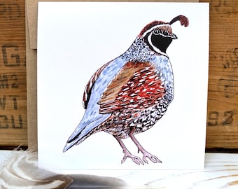 Quail greeting card with envelope, bird card, watercolor bird notecard, blank art card, bird card, bird lover gift, wildlife card