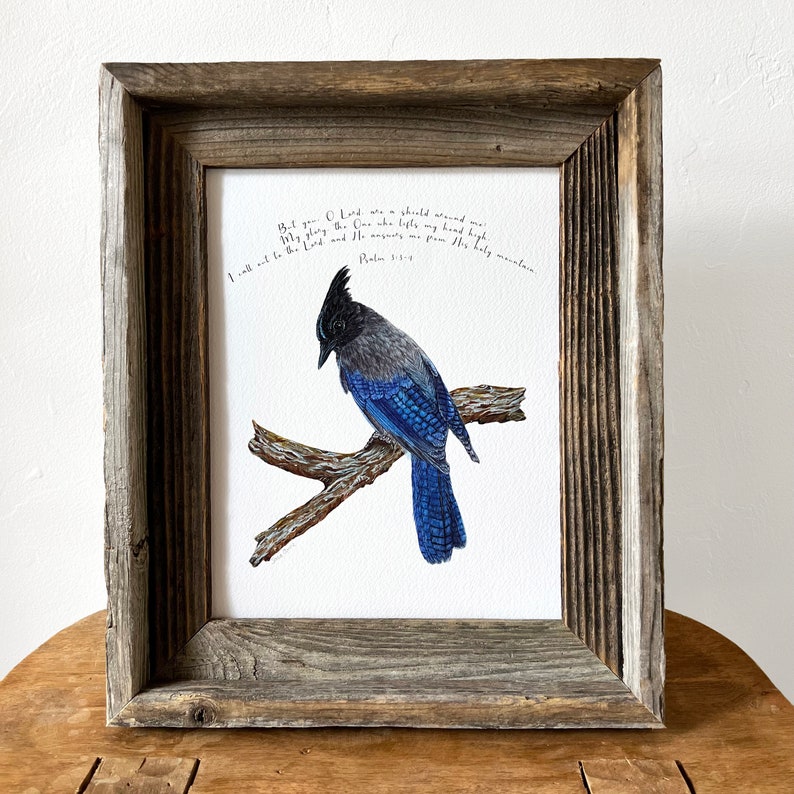 Steller's Jay Bible Verse Art Print, Psalm 3:3-4, You O Lord Are a ...