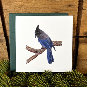 Steller's Jay greeting card with envelope, bird card, watercolor bird notecard, bird lover gift, wildlife card, ornithology gift Forest green linen
