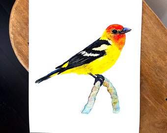 Western Tanager watercolor bird print, bird art, wall art lake home decor, nature lover gift, wall decor, bird lover gift, woodland wildlife